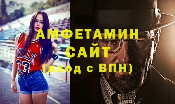 гашик Гусь-Хрустальный